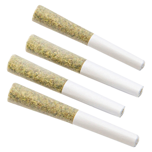 Dime Bag - Diesel Pocket Puffs Pre-Rolls - 2G