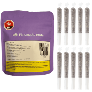 Pineapple Buds - Purple G*Shers Craft Rolls - 10pk