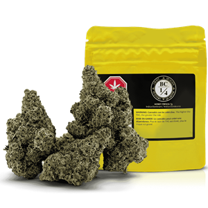 Bc 1/4 - Honey Fresca - 7G