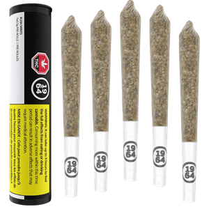 1964 - Kush Mints 5PK Pre-Rolls - 2.5G