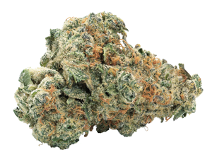 Big Bag O' Buds - Bbob Gmo Kush - 28G