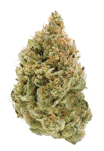 Simply Bare - Bc Organic Fruit Loopz - 3.5G