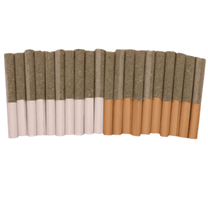Trygg - Block Party - Dawn To Dusk Pre-Rolls - 10G