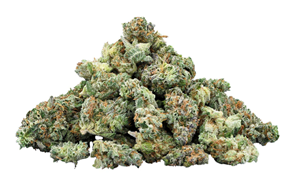 Tribal - Cuban Linx -  Sativa 3.5