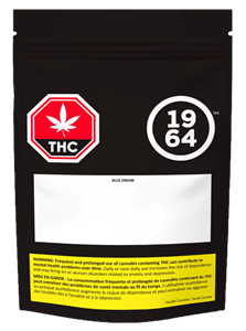 1964 - Blue Dream Flower - 1G