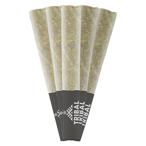 Tribal - Gran Turismo Pre-Rolls - 2.5G
