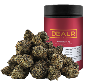 Dealr - Rainbow Fuego - 28G