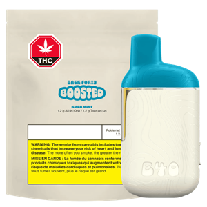 Back Forty - Kush Mint Boosted All-In-One Vape - 1.2G