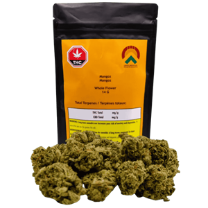 Green Mountain Health Alliance - Mangoz - 14G