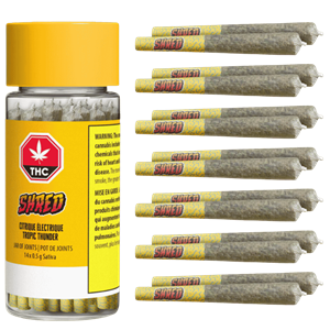 Shred - Tropic Thunder J'S Pre-Rolls -  Hybrid 7G