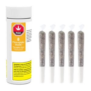 Pineapple Buds - Pineapple Haze Pre-Rolls - 5pk