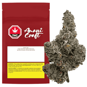 Amani Craft - Gastro Pop - 7G