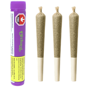 Orchard - Granddaddy Gelatti Pre-Rolls - 1.5G