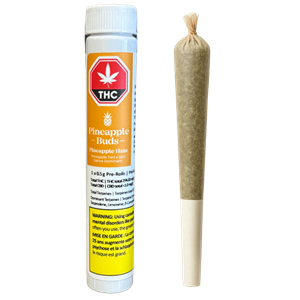 Pineapple Buds - Pineapple Haze Pre-Roll - Single 0.5G