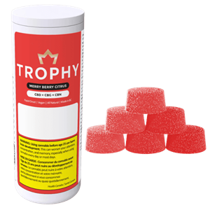 Trophy - Merry Berry Citrus Chews - 120G