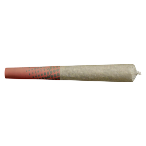 Big Bag O' Buds - Blueberry Dream Pre-Rolls - 10pk PRs