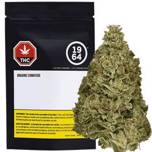 1964 - Organic Comatose -  Indica 3.5G